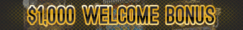 All Players Are Welcome At Slotland Casino!