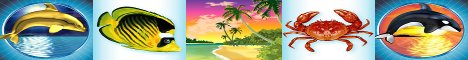 Ocean Dreams Slot Machine Logo
